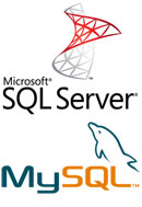 MS SQL SERVER / MySQL